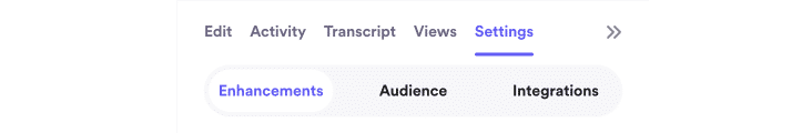 The tabs of the right panel are visible, with the Settings tab open. Within the Settings tab are subtabs for Enhancements and Audience which contain video settings.